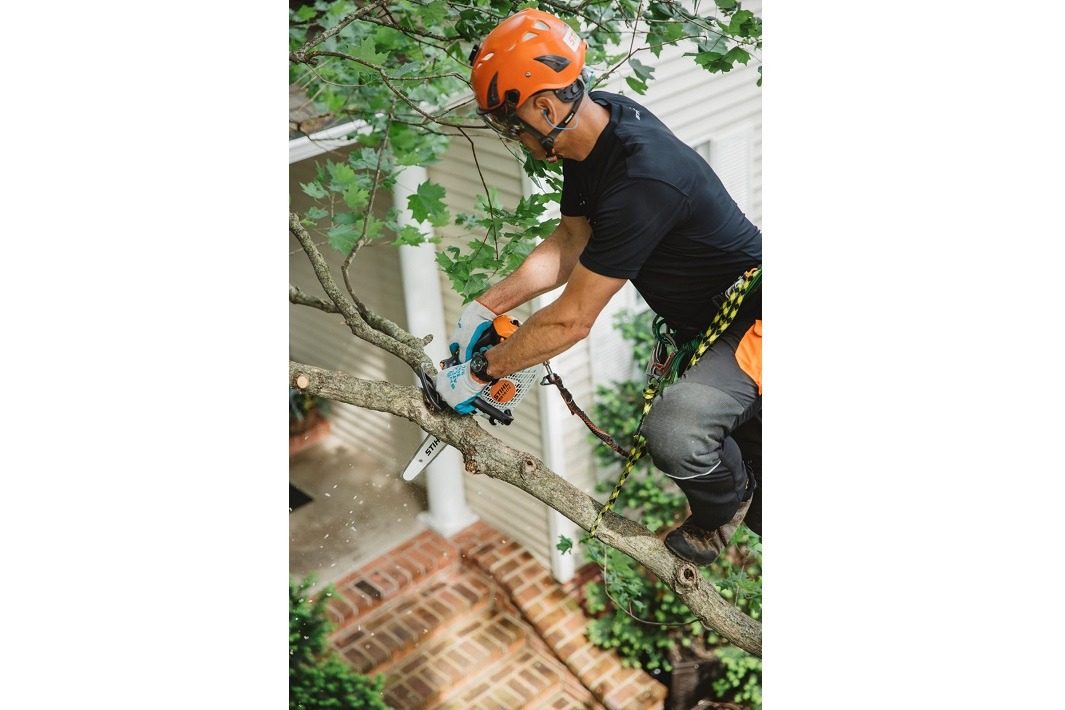 STIHL MS 151 TC-E Benzin-Motorsäge | 1/4″ PM3 Schneidgarnitur 25 cm