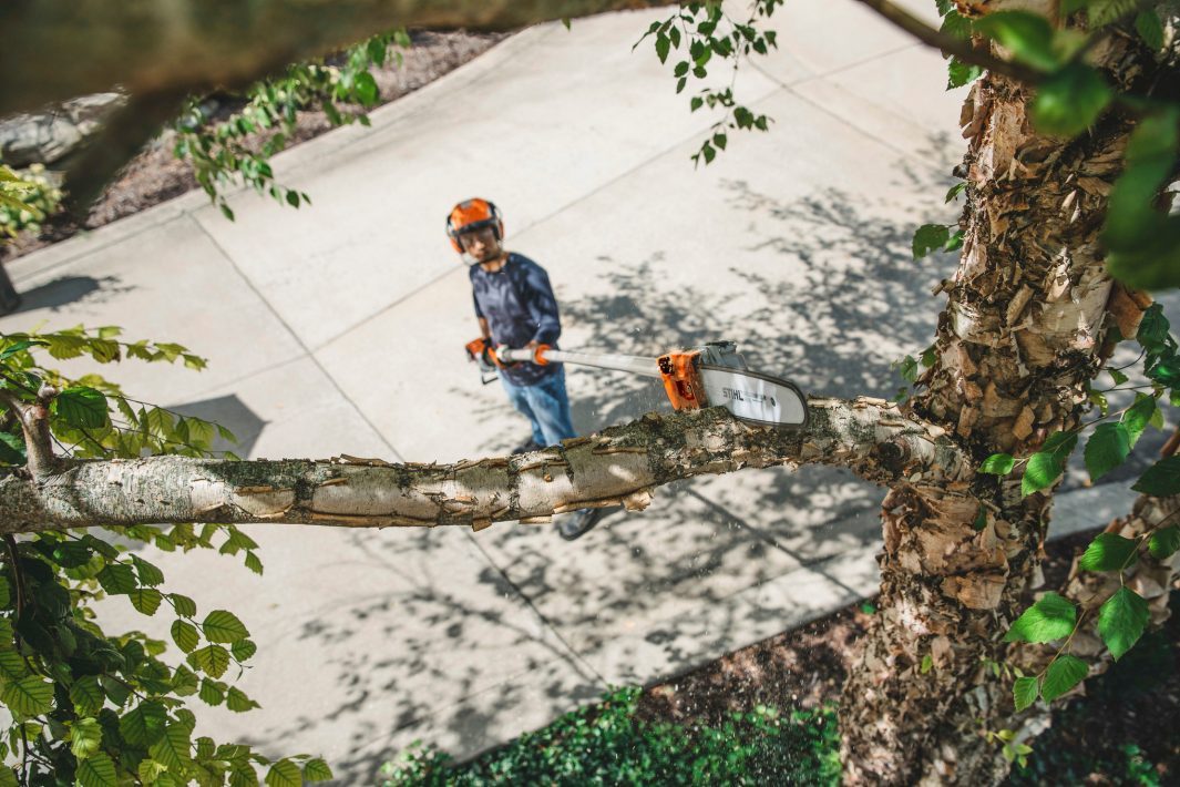 STIHL HT 135 Benzin-Hochentaster | 1/4″ PM3 Schneidgarnitur 30 cm